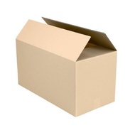 Extra Shoe Box Protector