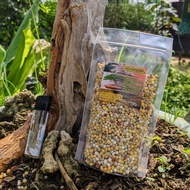 Pupuk Osmocote Decastar Slow Release Pupuk Tanaman Hias Aglonema Anggrek Bonsai dll