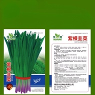 Kualitas Tinggi Benih Bawang Prei 3Pack / Tahan Dingin Yang Kuat / Pertumbuhan Cepat