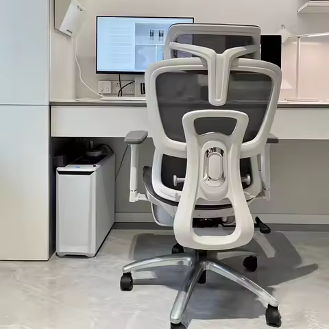Hbada E2 with 3D Adjustable Armrests Lumbar Support High Back for Computer Home Office Desk Chairs E