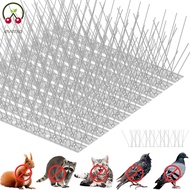 Bird Spikes Stainless Steel Bird Repellent Spikes Anti Bird Spikes Harmless Bird Fence Spike Easy to