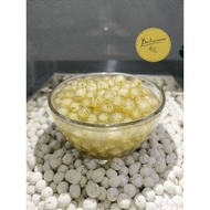 PEARL [ROAST RICE TEA