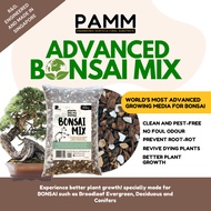 PAMM [ADVANCED BONSAI MIX] 2L Premium Growing Media for Bonsai, Japanese Pine, Conifers, Maple & Tro