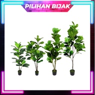 Fiddle Fig Tree Premium Pokok Hiasan Artificial Plant Artificial Tree Fiddle Fig Leaf Pokok Viral