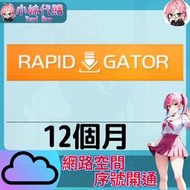 【現貨+開發票】小妹代購 免空 雲端 序號 升級碼 會員 高速下載 rapidgator.nwet 12個月