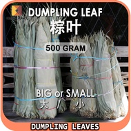 粽叶竹叶 Dumpling Leaf 粽子叶肉粽 / 碱水粽 ( 12*60cm / 9*35cm ) 端午节粽子叶包粽子叶