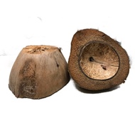 ♞COD BUNOT / BUNOT / COCONUT HUSK