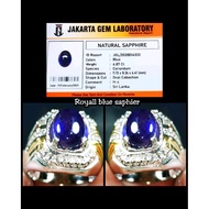 Original Original Sri Lanka ceylon blue sapphireBatu Mulia