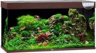 JUWEL Rio 300 Dark Wood (Tank only) (121x51x66cm)