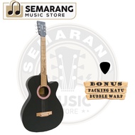 Gitar Akustik Elektrik Lakewood Custom Tanam Besi