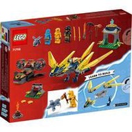 LEGO Ninjago 71798 Nya and Arin's Baby Dragon Battle