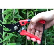 Grass Branch Shears / Garden Shears Star Tiger 77 size 7"