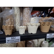 Flower Pot Lotus Size 12cm, 20cm, 25cm