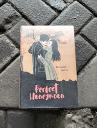 Novel Perfect Honeymoon