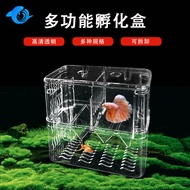 Multifunctional Isolation Box Hatching Box Isolation Breeding Transparent Turtle Hatching Box Aquari