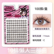假睫毛  自然仿真眼睫毛 假眼睫毛 大容量| 100簇 10排 11mm 自然款