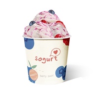 [HALAL] Sogurt Froyo Ice Cream Berry Swirl Pint (473ml) - Made with Coconut Oil, Contains Probiotics &amp; Prebiotics