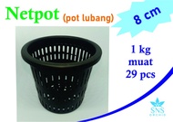 Netpot 8 cm Pot Gantung Lubang Anggrek Dendro Catleya Bulan Vanda