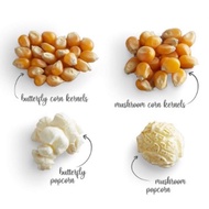Corn Kernel Butterfly Mushroom Popcorn Biji Jagung