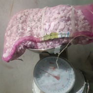 8kg. Peebles Stone for Garden,Aquarium and Landscaping