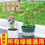 HY-D Vine Climbing Flower Stand Gardening Prop Balcony Green Radish Chinese Rose Clematis Vine Climbing Crab Cactus Supp