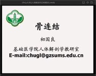 中山大學—初國良教授等《人體解剖學》 36集視頻