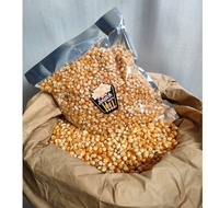 Popcorn Kernel / Seed Mushrooms Original South Africa (1kg/500g/200g)