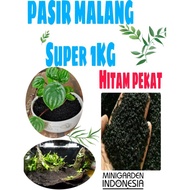 PASIR MALANG SUPER 1KG media tanam sekulen aglaonema media dasar aquas