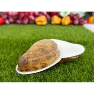 BFRESH ORGANIC BARSOAP