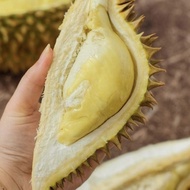 Durian Montong Utuh Boss Buah DIJAMIN MANIS