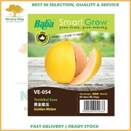 Baba VE-054 Tembikai Susu Smart Grow Golden Melon