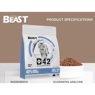 BEAST BEAUTY SKIN B42