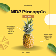 MD2 Premium Pineapple Nanas Malaysia Fresh (1 pc)