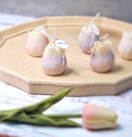 淡紫及白色漸變鬱金香 PW-001 T001