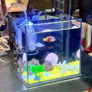 背濾魚缸套裝(圖一係客人回圖)