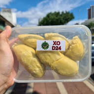 [FREE DELIVERY DAILY FRESH DURIAN] FRESH Sam's Durian D24 XO 