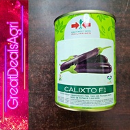 CALIXTO F1 HYBRID EGGPLANT SEEDS (50 GRAMS) EAST WEST SEEDS