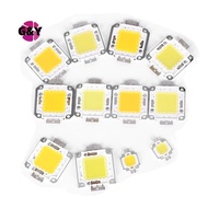 G&Y 1pc cob led light dc led bulb chip on board 10W 20W 30W 50W 70W 100W 2 colors