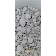 100g seachem matrix stone