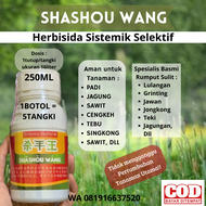 SHASHOU WANG MERAH KEMASAN BARU Pembasmi Rumput Khusus Rumput Bandel dan Susah Dibasmi Pada Padi