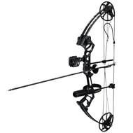 Archery Eagle Compound Bow and Archery Sets 0-70lbs for Adults and Teens,25"-31" Draw Length，up to I