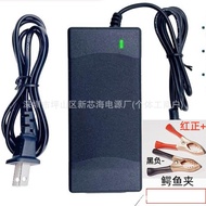 29.4V2A42V2A54.6V Alligator Clip Charger 24V36V48V Scooter Fast Charge Flash Charger