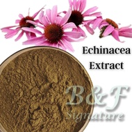 Echinacea Powder Extract 30g - 250g 紫锥菊粉提取物 - WELL BEING