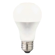 EVERLIGHT 億光 超節能 LED球泡燈 13W  自然光  1個