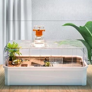 Akuarium Penyu Mangkuk Besar Tangki Ikan Landskap Keaslian Hiasan Loket Akuarium Tangki Ikan Produk 