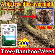 Tempat 🌲 evergreen treeracun rumput taburracun rumput racun serbuk rumput High concentration strong 