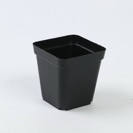 Plastic pot size 7x7 square black