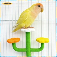 [tdraoylp] Bird Perch Stand Playground Funny Accessories for Budgie Lovebirds Parakeets