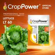 (5 GRAM) Biji Benih Sayur Salad 傲美佳 LT60 CROP POWER Iceberg Lettuce Seed 结球生菜种子 LT 60