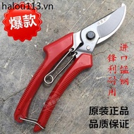 Pruning Shears Gardening Shears Pruning Flower Branch Shears Branch Picking Fruit Shears Garden Tool